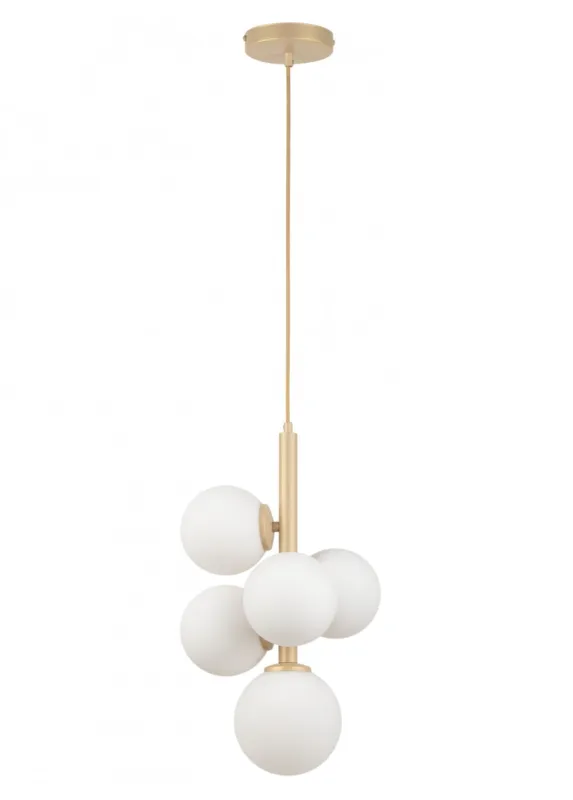 PERLA gold V 33607 Sigma Wyprzedaż