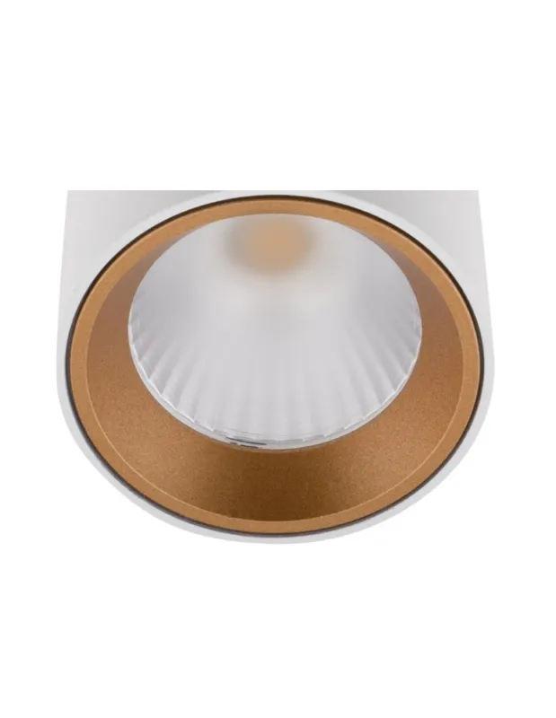 Maxlight Gold Pierścień Ozdobny Złoty Do Tub RC0155/C0156 GOLD Wybór klientów