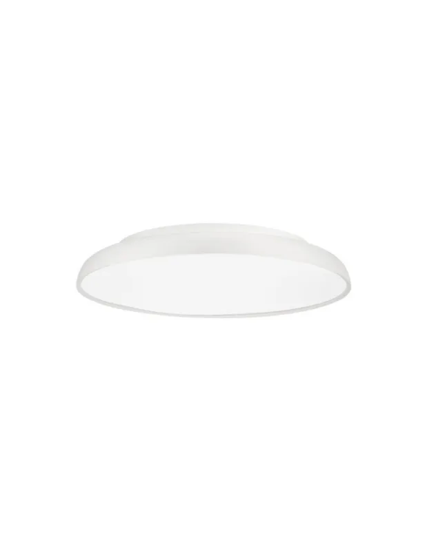 Luces Exclusivas BARCA Sufitowa Nowoczesna biały 1xLED max 40W 2700-6000K LE43539 Ekspresowa dostawa