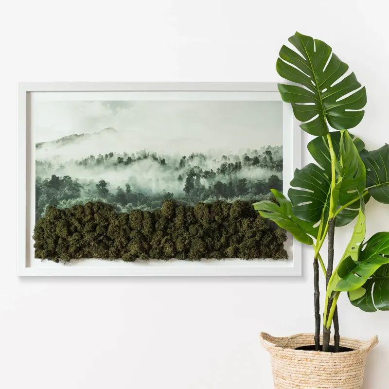 Obraz Las we mgle - mech chrobotek w białej ramie 60x40cm - Najlepsza cena