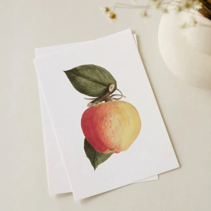 Plakat dojrzałe jabłko 21x30cm - Oferta czasowa