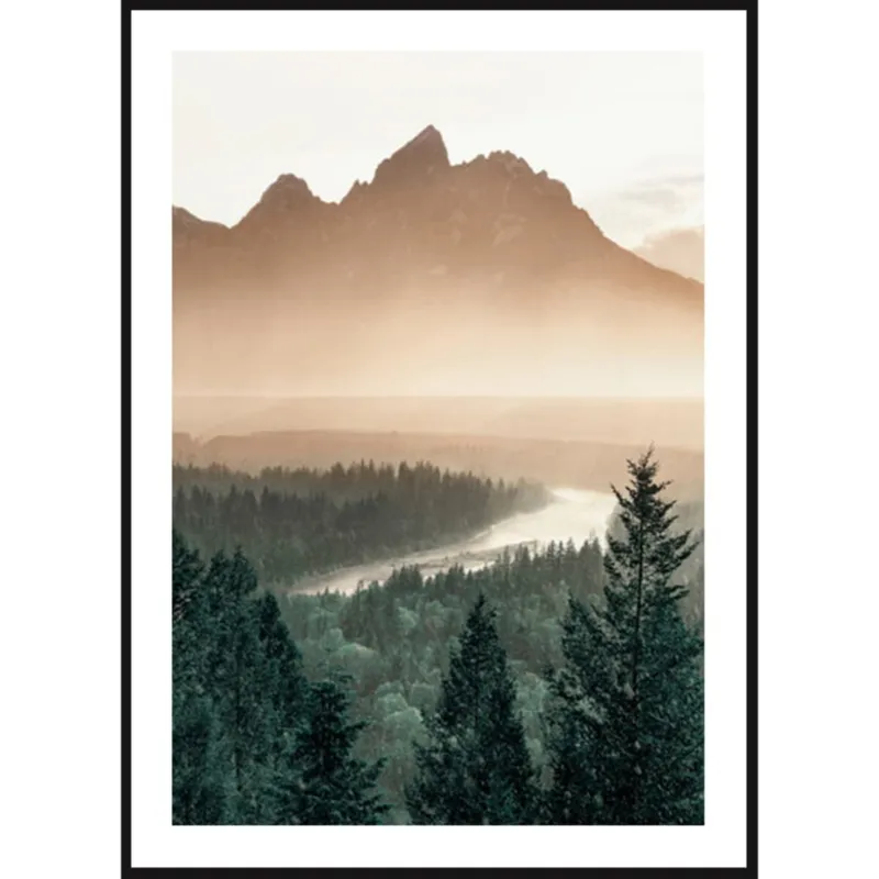 Oferta Poster Story, Plakat, Obraz - Las Sosnowy w Górach, wymiary 60 x 84 cm -