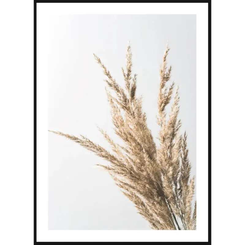 Wyprzedaż Poster Story, Plakat, Obraz - Suszona Wiązka Trawy, wymiary 42 x 60 cm -