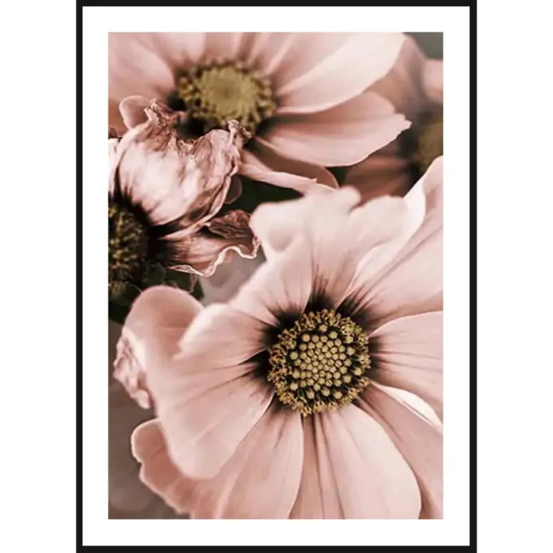 Bezpieczna płatność Poster Story, Plakat, Obraz - Różowe Magnolie, wymiary 70 x 100 cm -