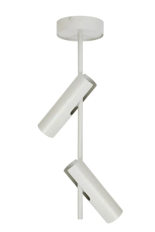 Zamów teraz Lampa sufitowa Plafon Spot LEDA Sigma Lighting 2xGU10 max 10W led Stal lakierowana Szary Beż/Szary Beż