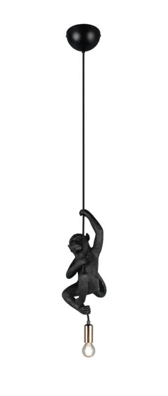 Wybór klientów Lampa wisząca Fips czarny E14 R36551002 - RL