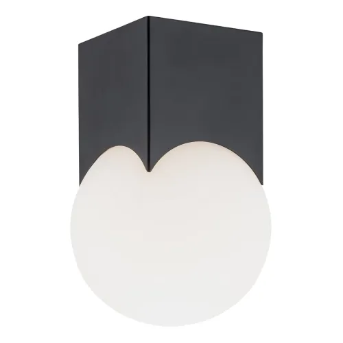Lampa sufitowa Argon 4713 Austin E14 czarny mat biały Okazja