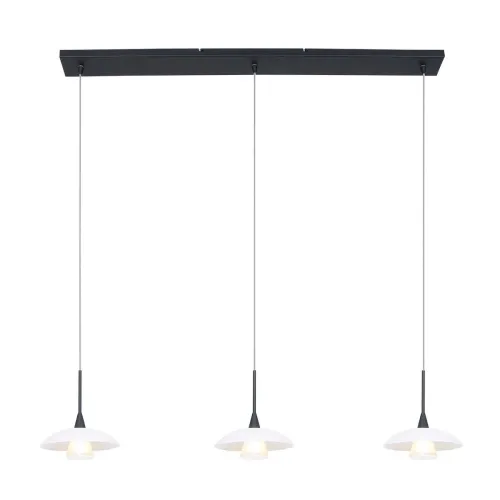 Wysoka jakość Czarna nowoczesna lampa wisząca listwa transparentne klosze Steinhauer 2654ZW Tallerken 3xG9 108cm