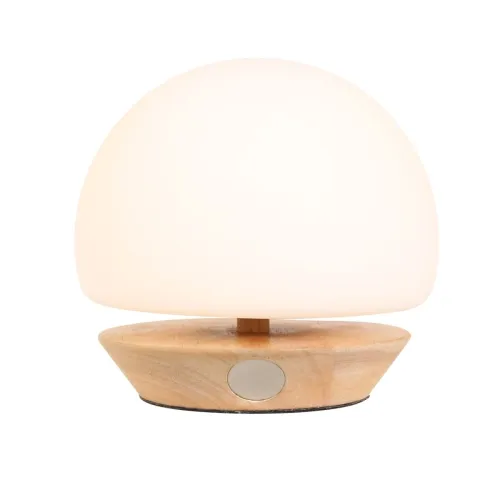 Szklana nowoczesna lampa nocna drewniane elementy Steinhauer 7932BE Ancilla G9 16,5cm Oferta limitowana