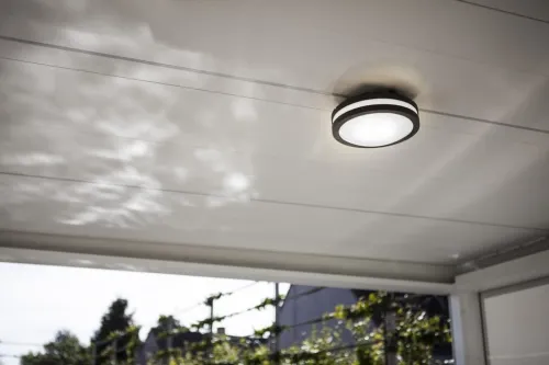 Zewnętrzna lampa ścienna sufitowa na elewację Lutec 6336201118 Titan E27 IP54 26cm antracyt Popularny